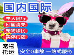 乌拉特中旗海流图机场货运国际宠物托运 【国